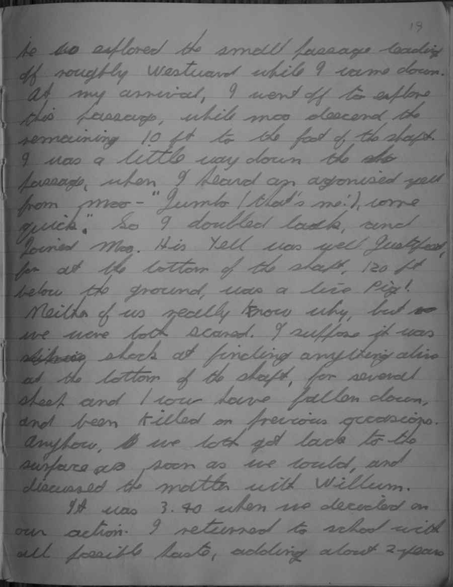 Page 019.jpg